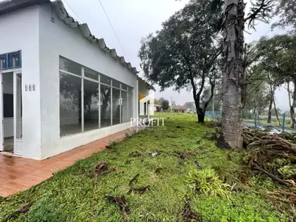 Sala em Cruz Alta no bairro Independência