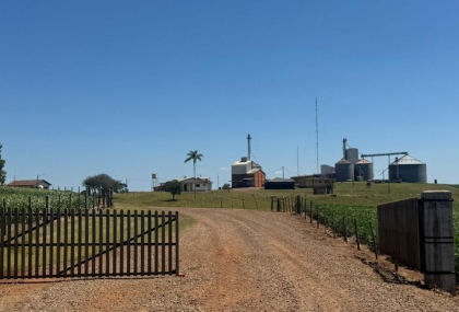 Área Rural em Lagoa Vermelha no bairro KM 20
